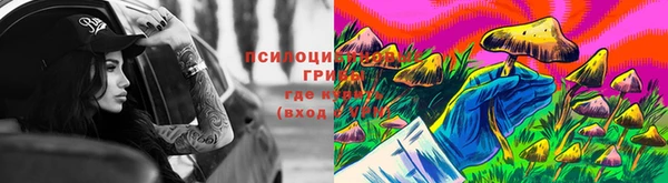 a pvp Вяземский