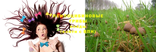 a pvp Вяземский